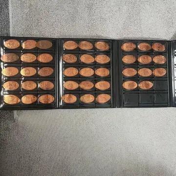 도쿄 디즈니 리조트 수베니어 메달 컬렉션 북