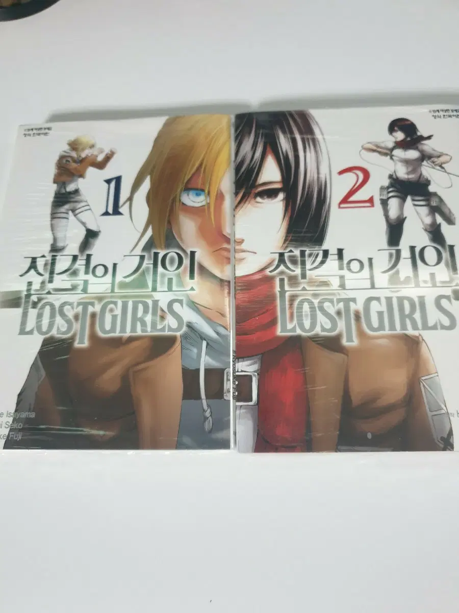 진격의 거인 로스트걸즈