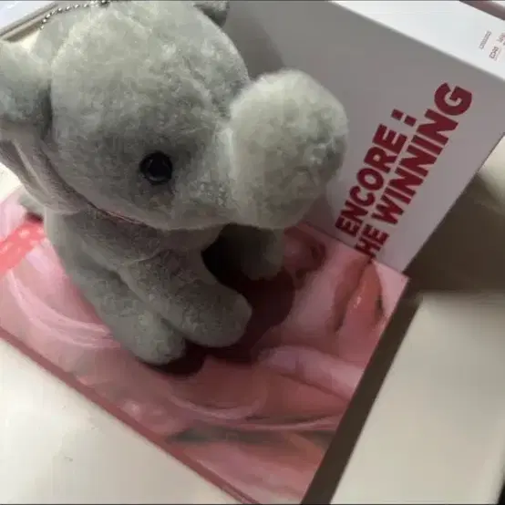 아이유 태방이 코끼리 인형