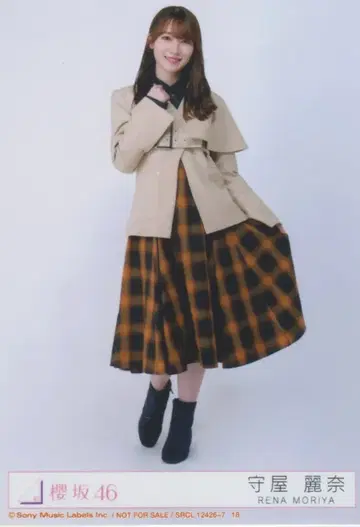 사쿠라자카46 사쿠라즈키 모리야 레이나 봉입 특전 브로마이드 D (히키)