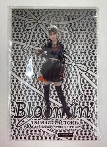 츠바키팩토리 10th Anniversary SPRING LIVE 2025 [ Bloomin' ] 야기 시오리 솔로 아크릴 스탠드 키링