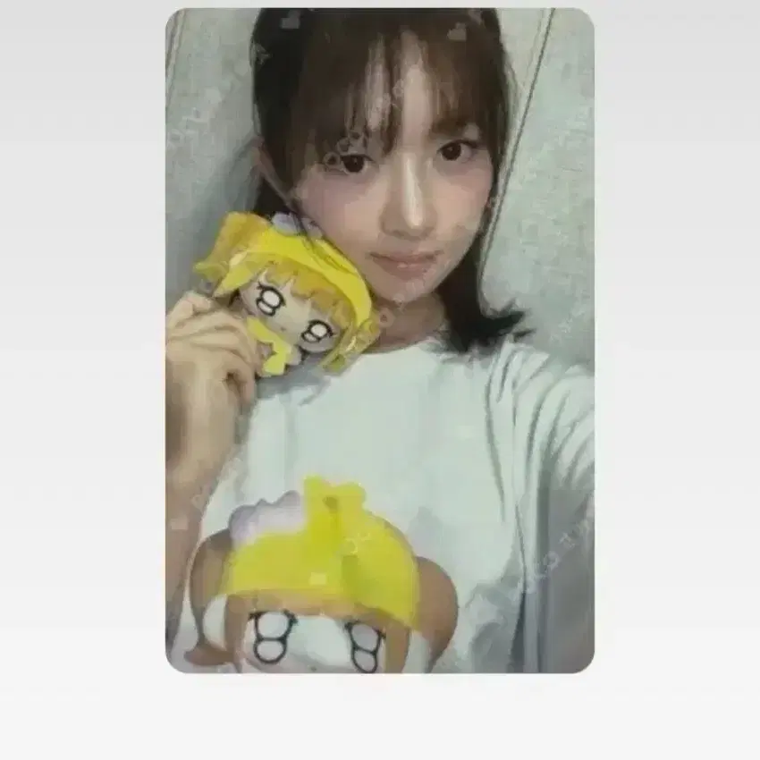 레이 티셔츠 /레이티셔츠 증정 포카 사요