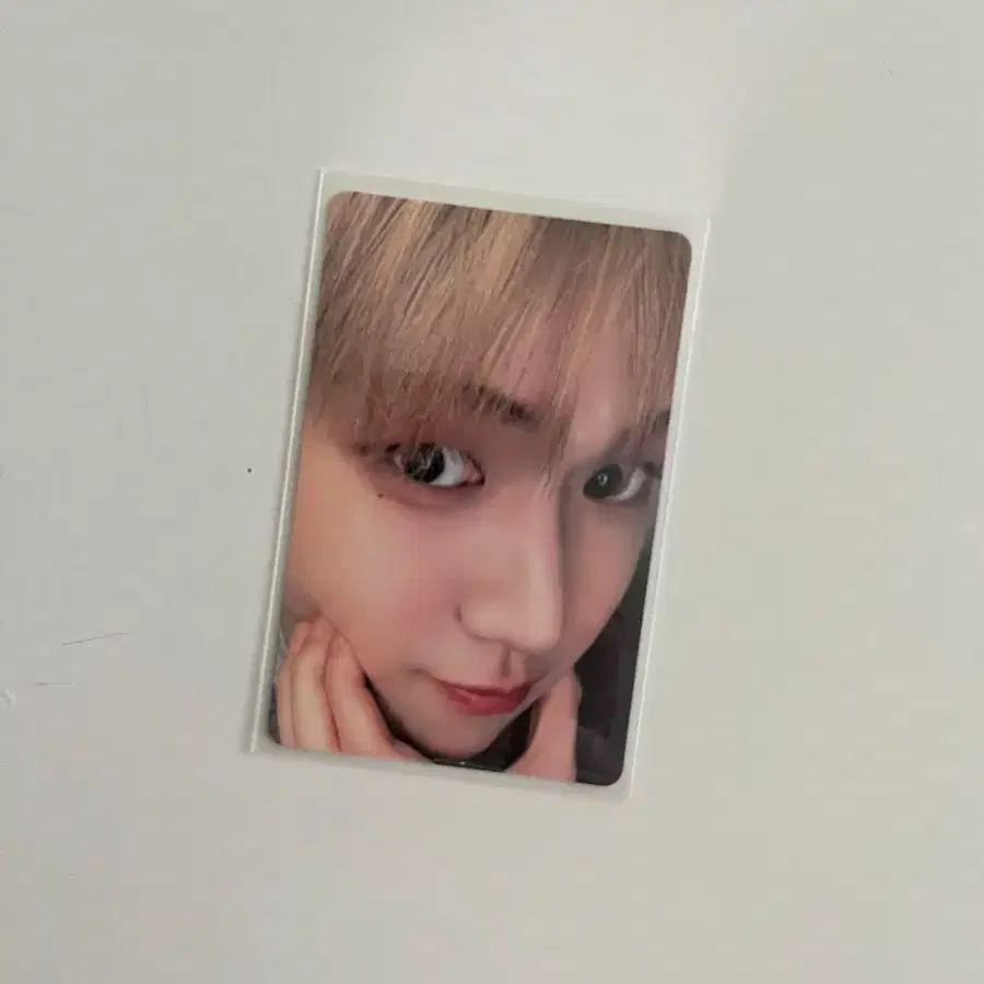 타워레코드 시부야 아궁빵 리우 포카 양도