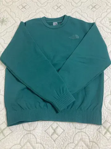 THE NORTH FACE 랠리 온 락 크루 맨투맨 그린 S