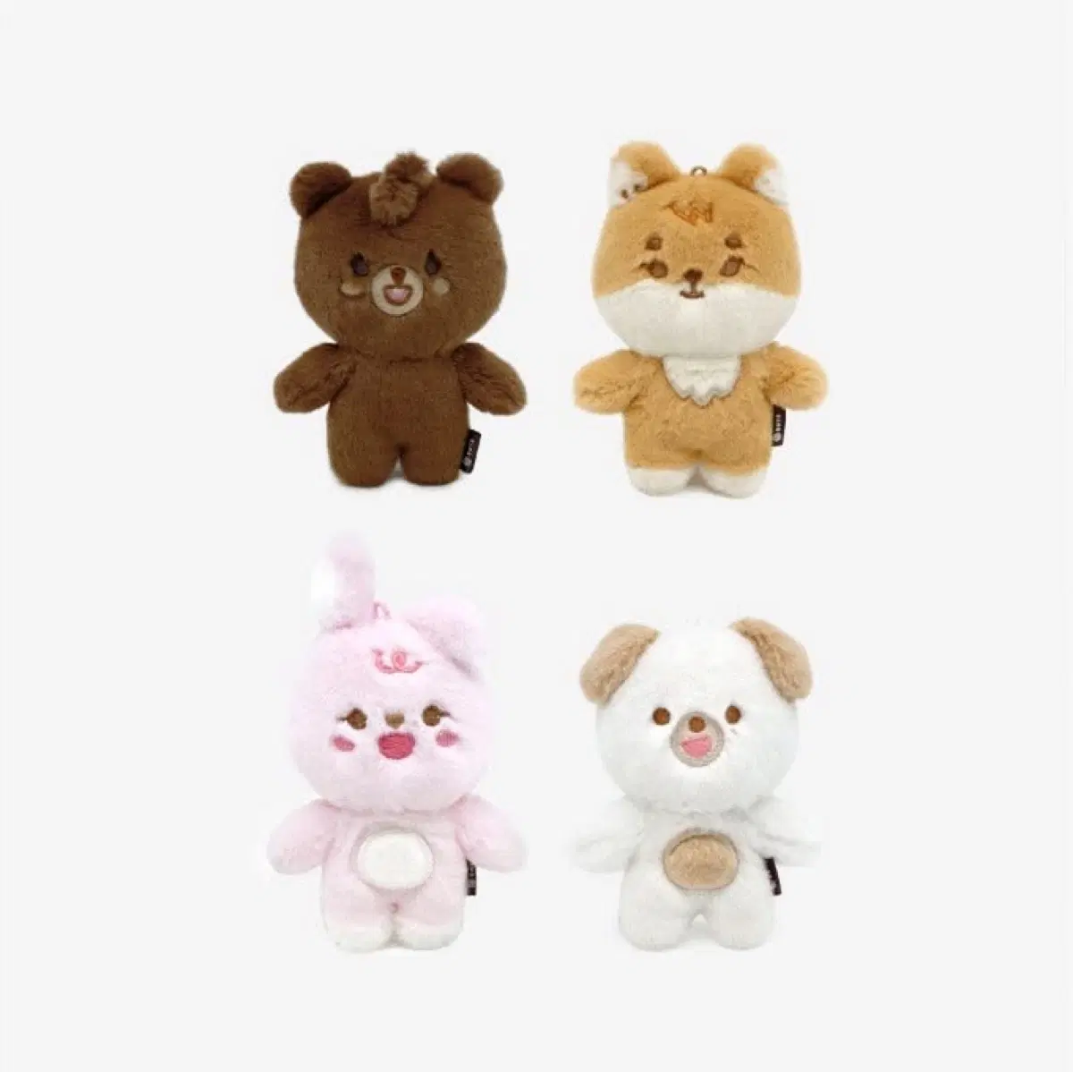 데이식스 쁘쁘멀 도운