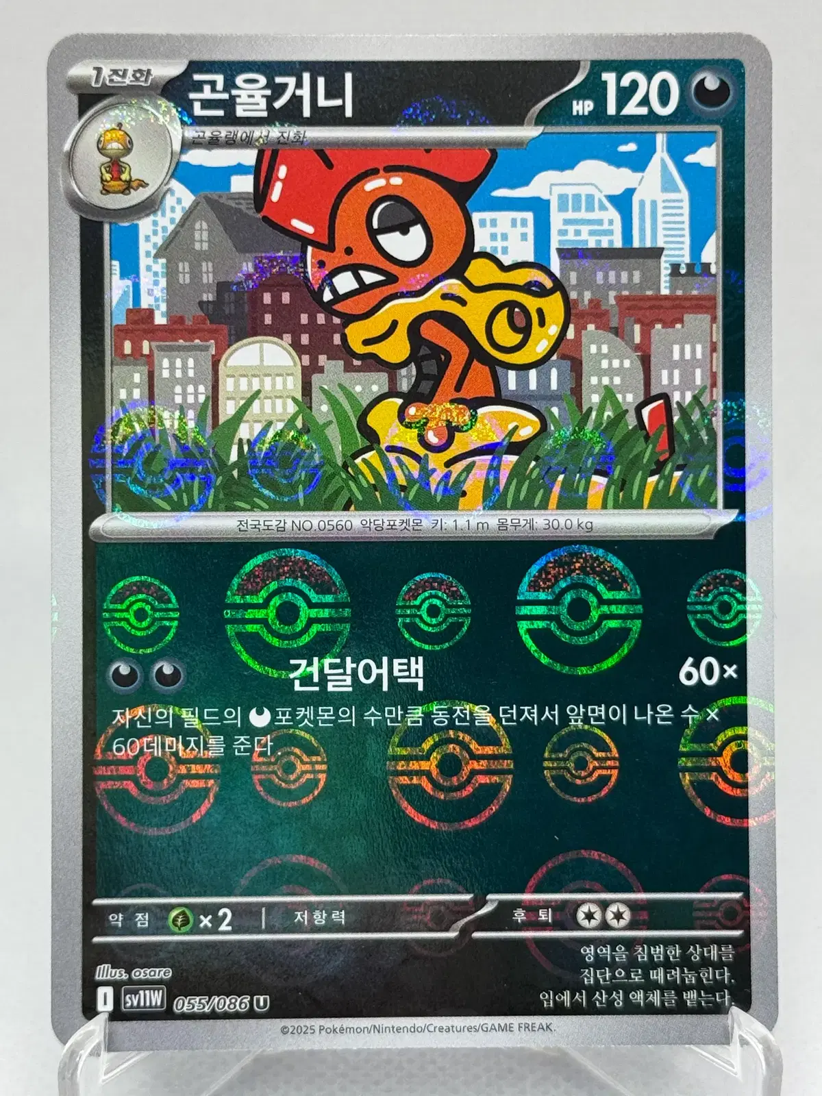 포켓몬카드 한글판 곤율거니 몬스터볼 홀로 [sv11w 055/086] 화이트플레어