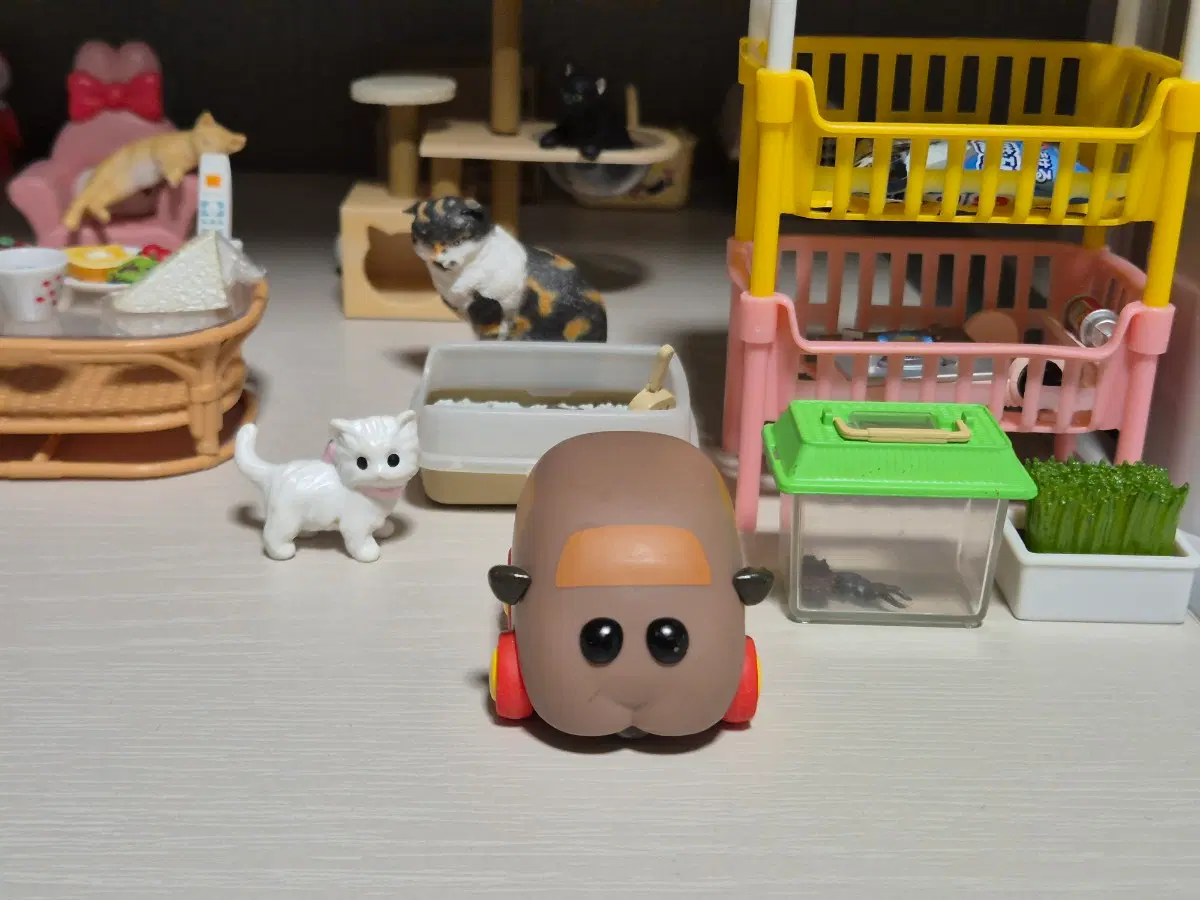 뿌이뿌이 모루카 풀백카 모카 (일본정품,풀백카)