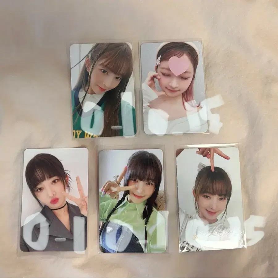 아이브 레이 포카