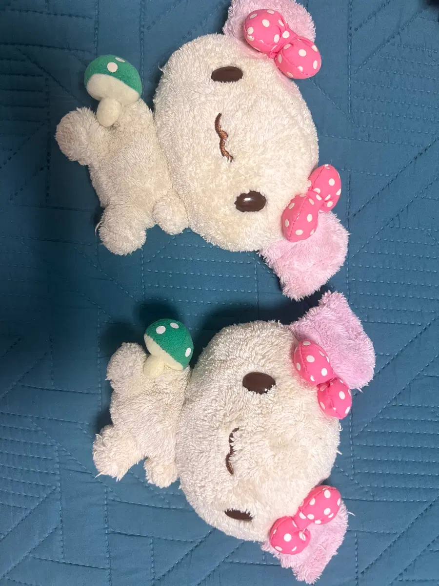 시나모롤 버섯 아즈키