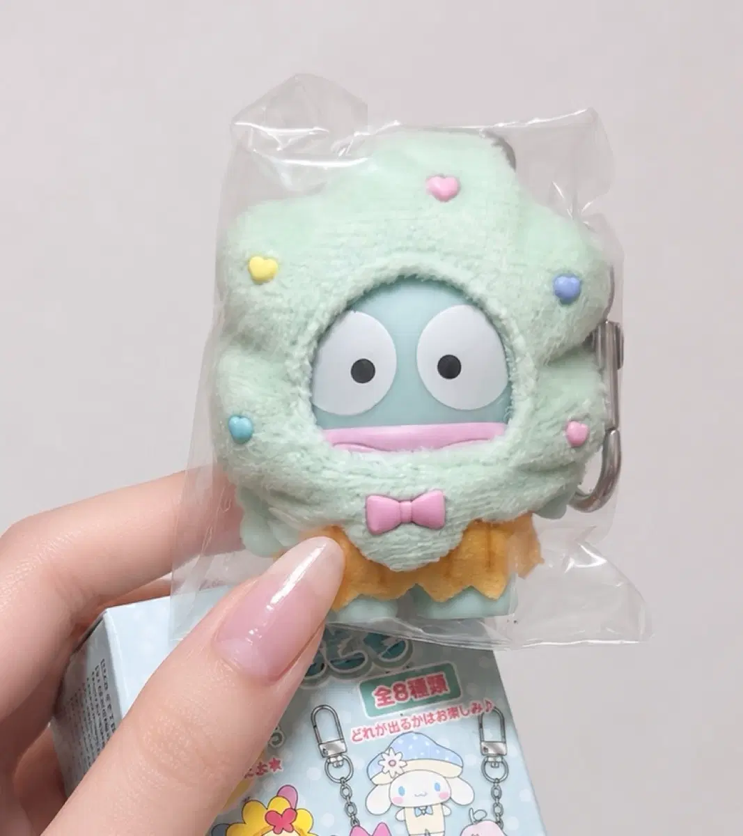한교동 숲속 치비토모