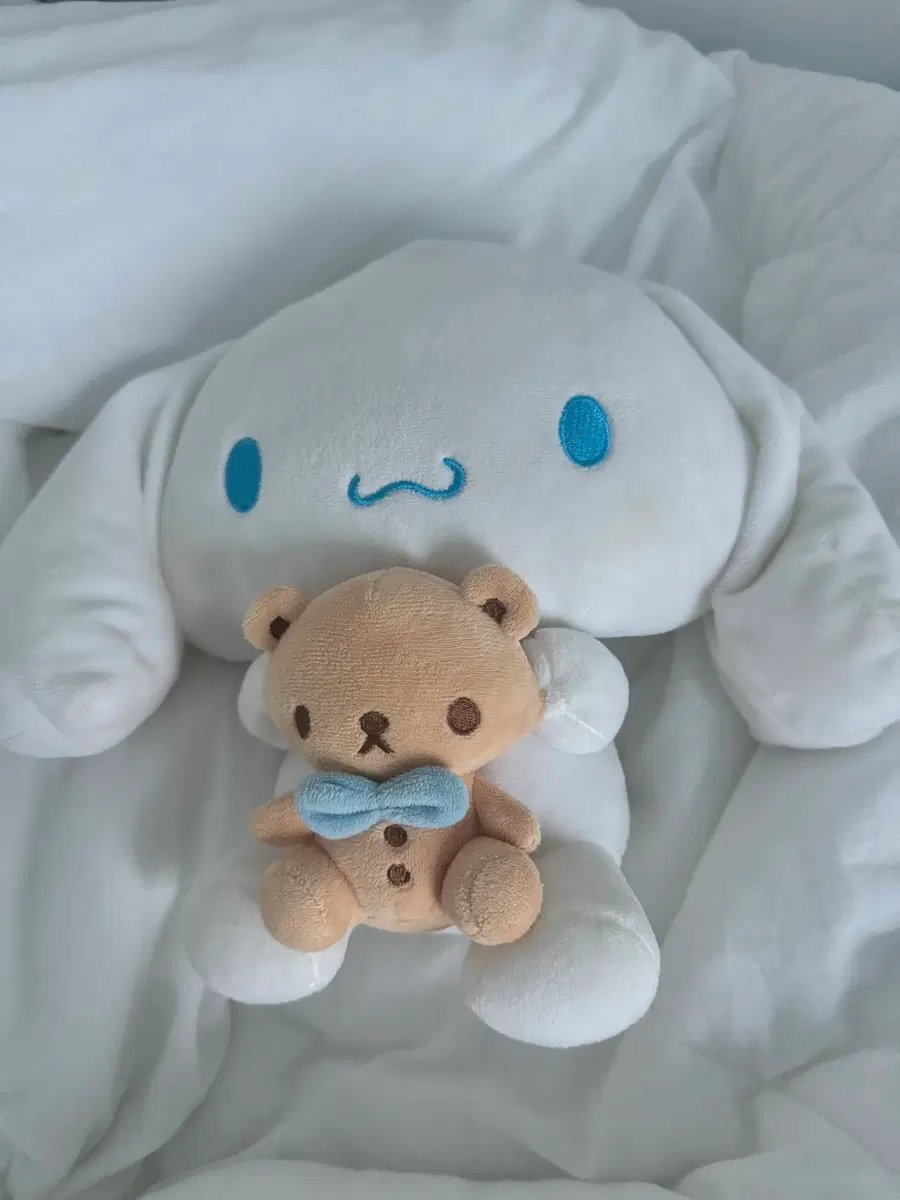오늘만) 시나모롤 발렌타인 곰돌이 인형