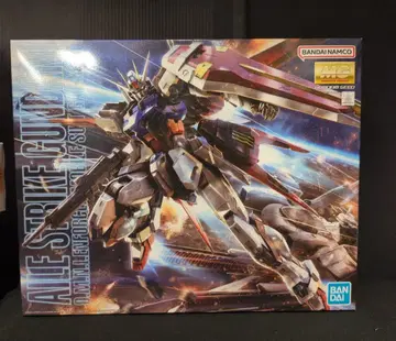 BANDAI SPIRITS MG 1/100 반다이남코판 에일 스트라이크 건담 VerRM