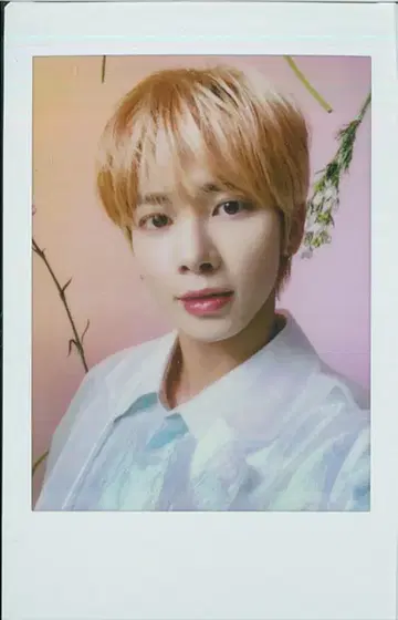TXT 교세라 추가 공연 한정판 TAEHYUN 23년 ACT:SWEET MIRAGE IN JAPAN 추가 공연 폴라로이드 꽃무늬