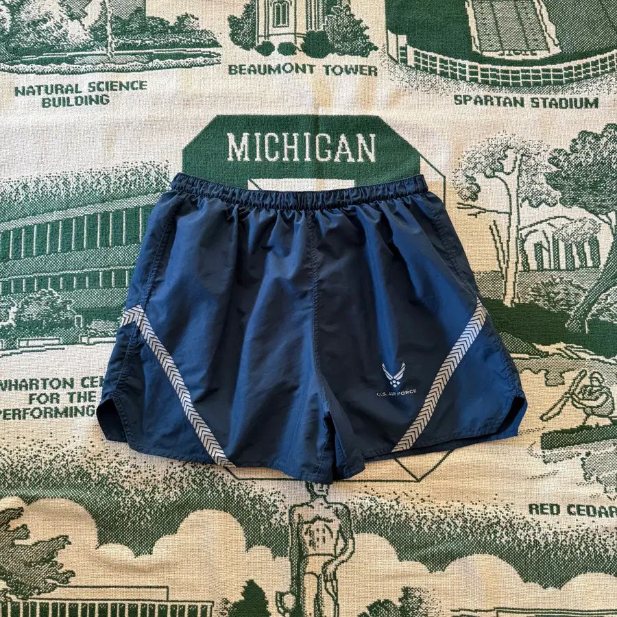 USA Military U.S. AIR FORCE IPTU Training Shorts -3