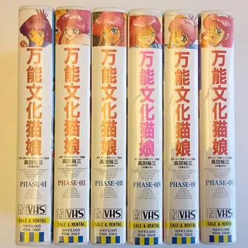 다용도 문화 고양이 VHS 세트