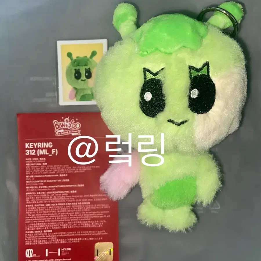 보넥도 쁘넥도 삼한이 양도