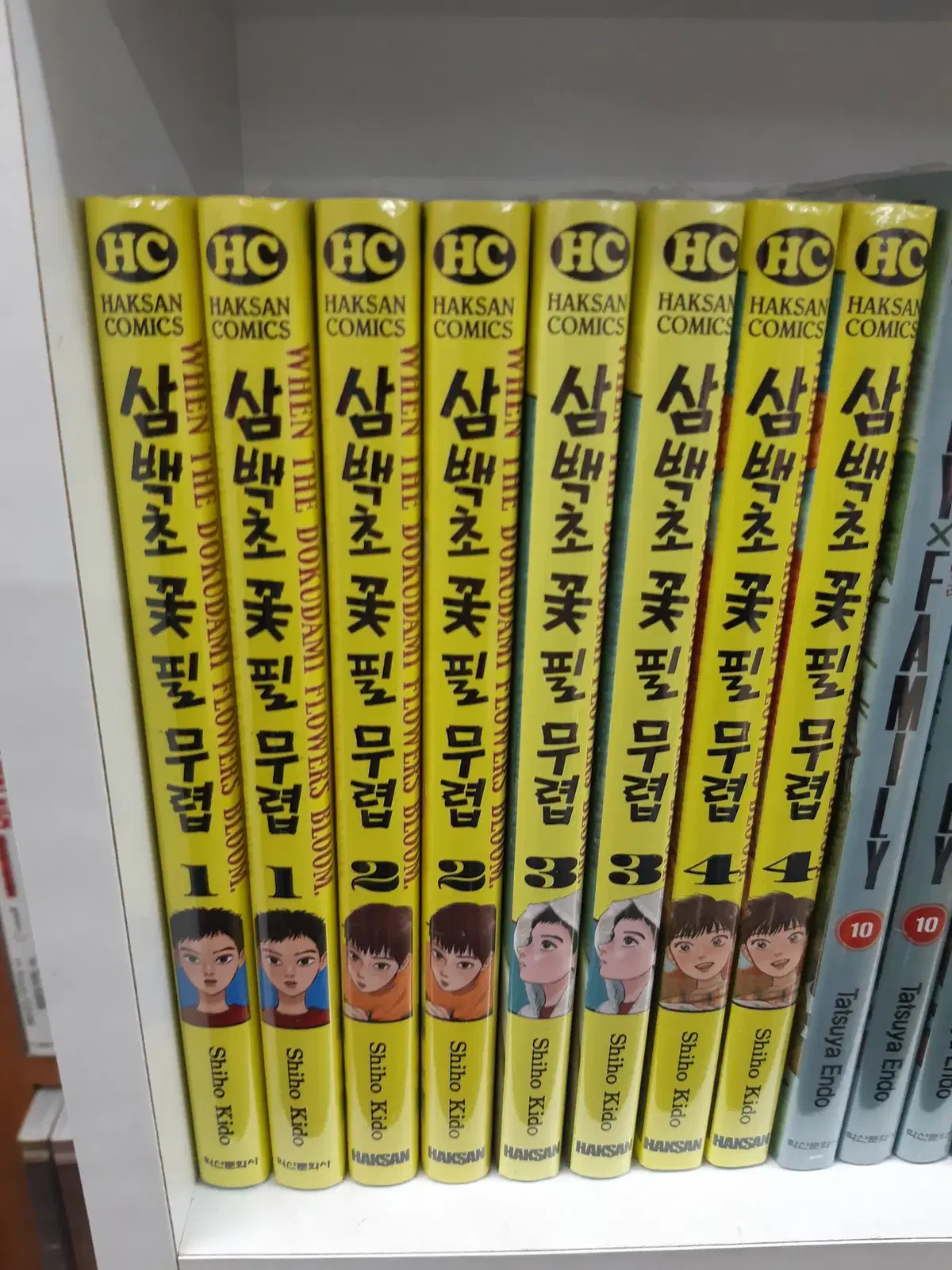 삼백초 꽃 필 무렵 1-4 미개봉 만화짱많아 프로안전상점