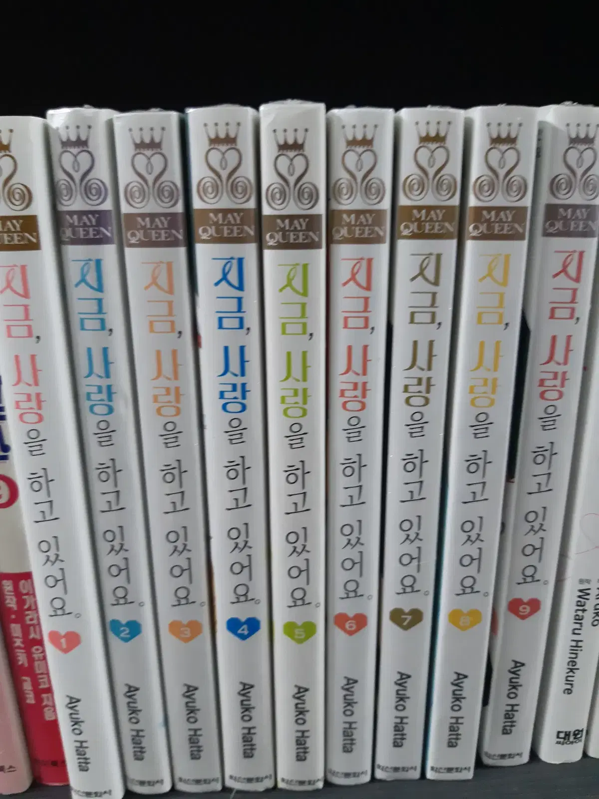 지금 사랑을 하고 있어요 1-9 완결 소장용 중고만화책 만화짱많아 프로상점