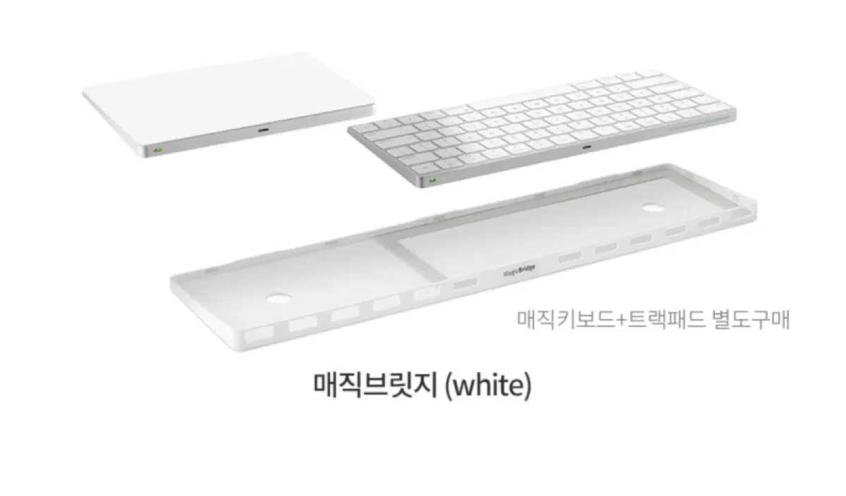 트웰브사우스 매직브릿지