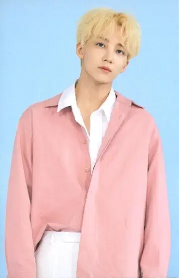 SEVENTEEN 2019 3RD FAN MEETING CARAT LAND 정한 트레이딩 카드 0067
