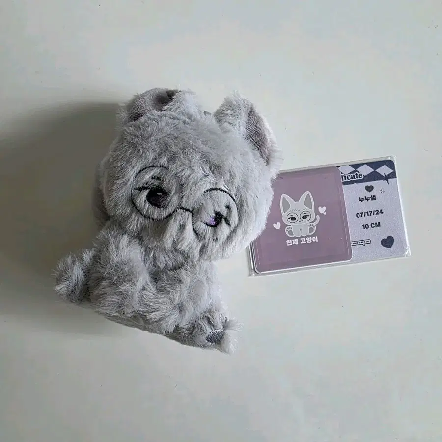 세븐틴 원우 인형 누누샘