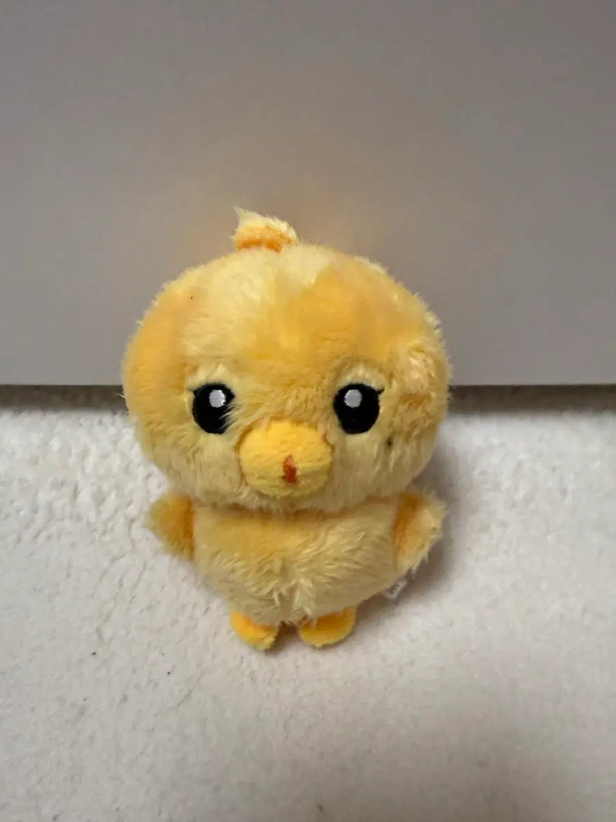 댕궁이 정우 인형 양도