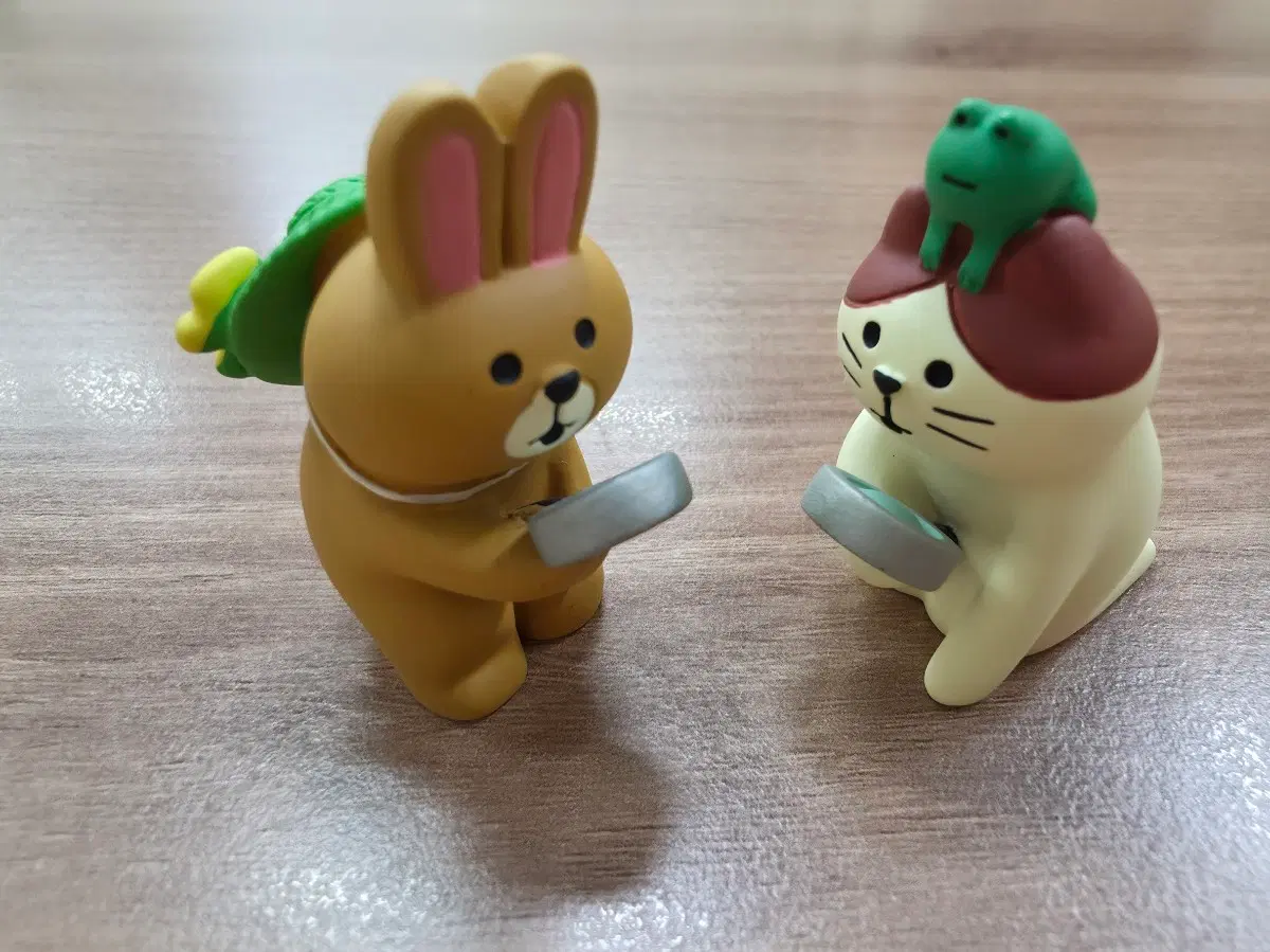 데꼴할인> 데꼴 호기심 set