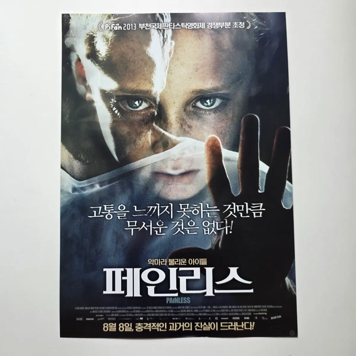 [전단지] 페인리스 2013 영화 포스터