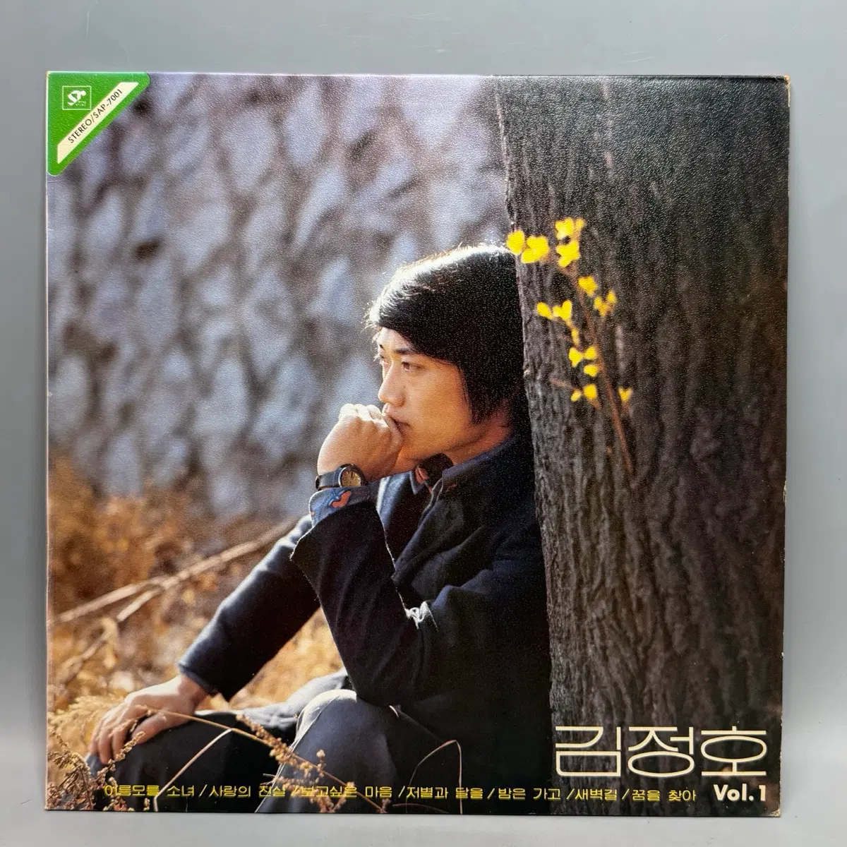 김정호 lp 이름모를 소녀