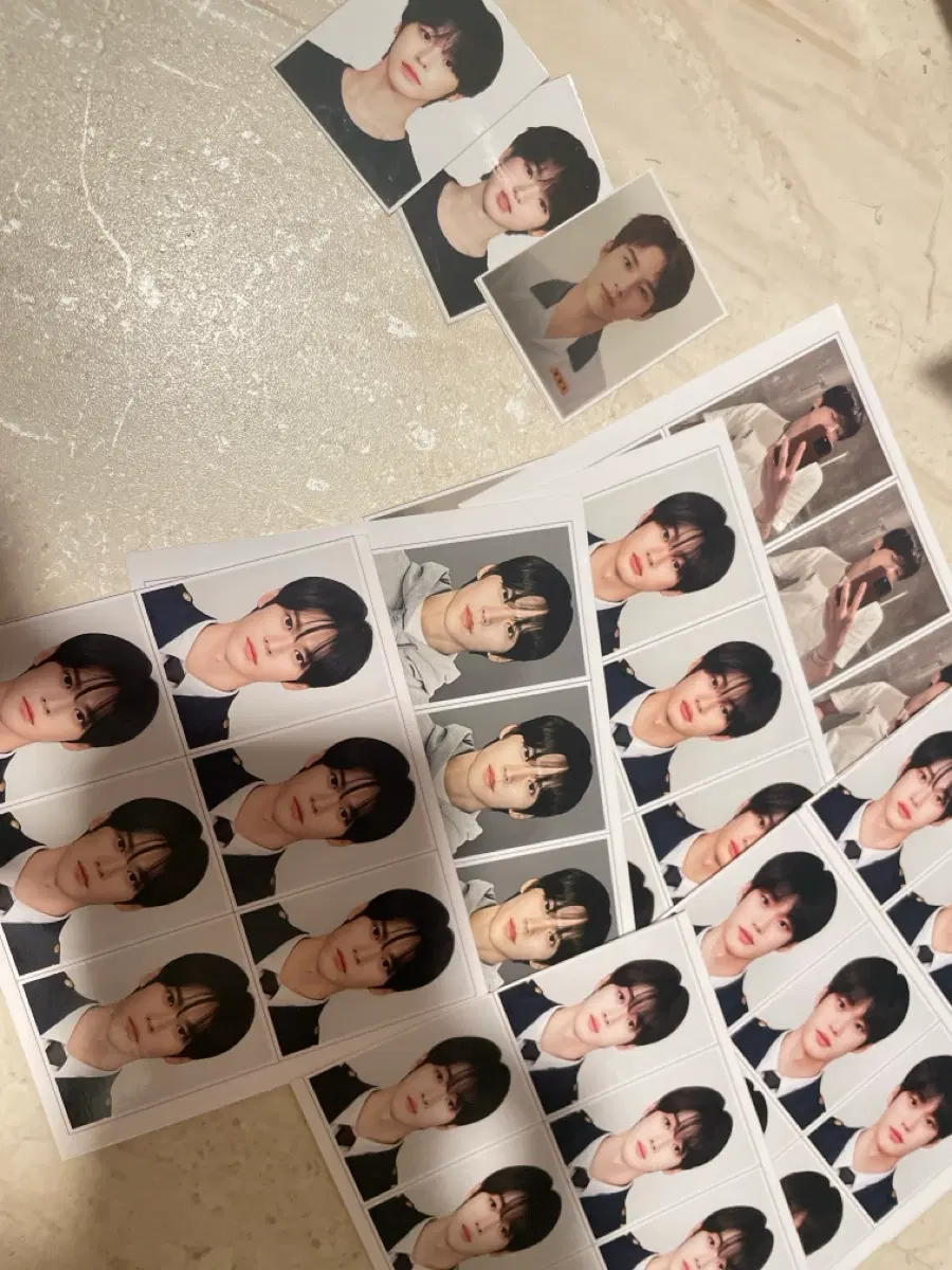 라이즈 엔시티 증사