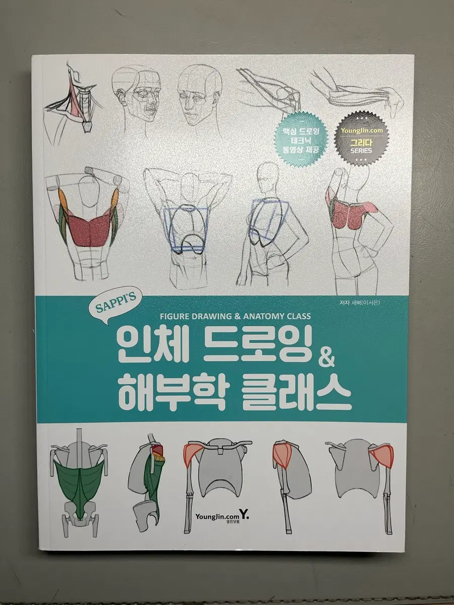 인체드로잉책 판매