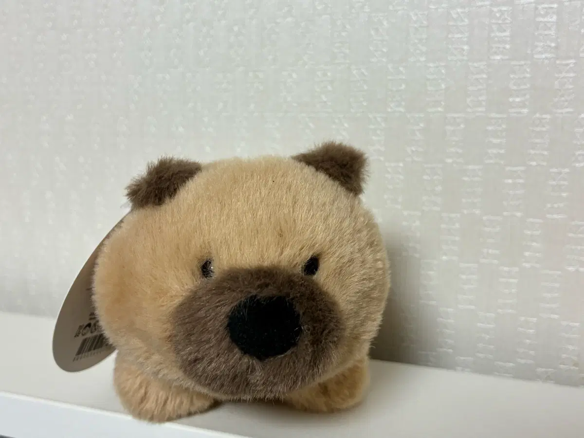 똥강아지 인형