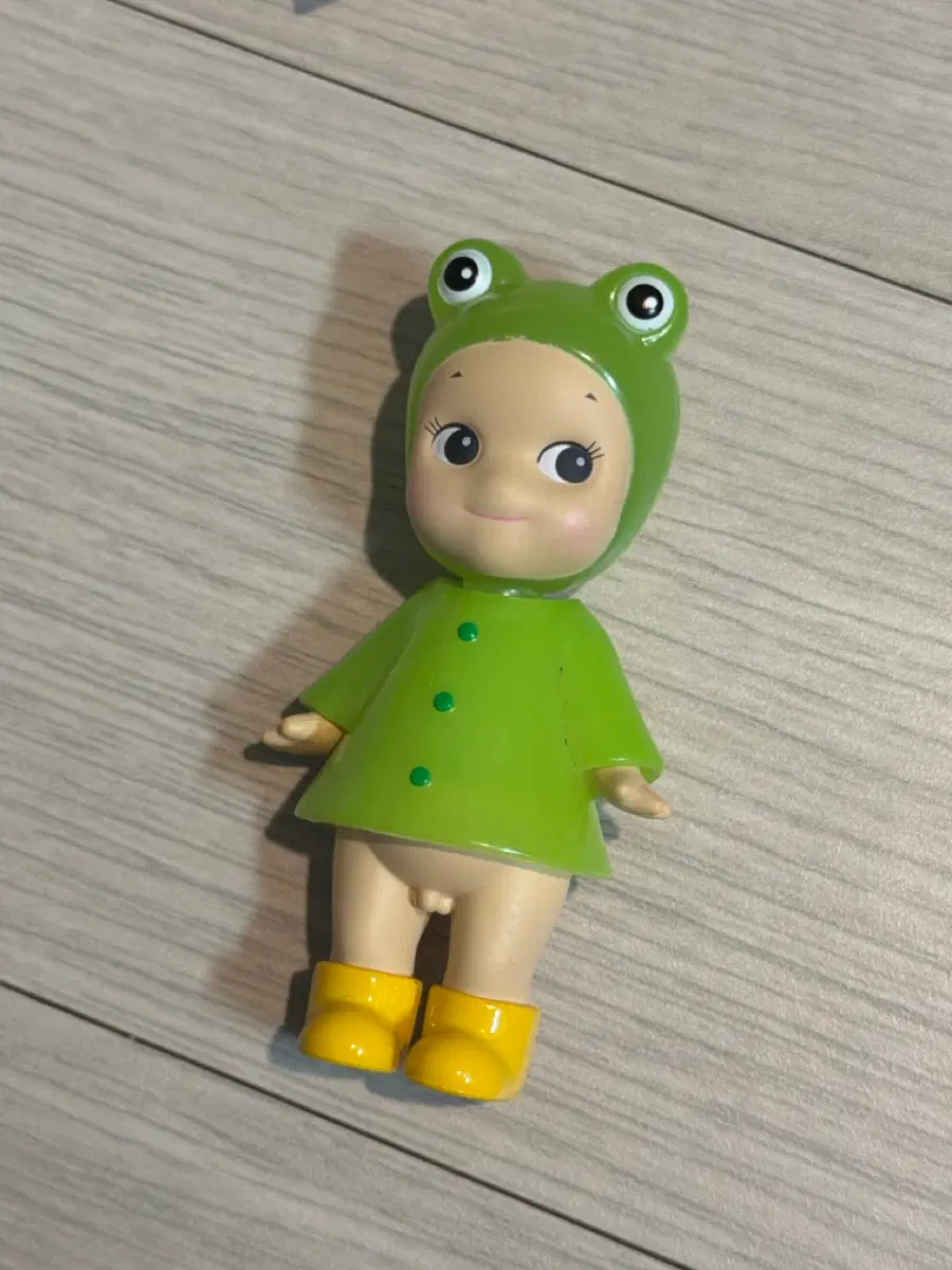 소니엔젤 레이니 개구리,소니엔젤