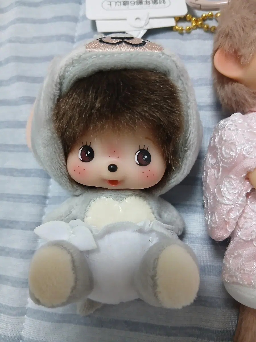 베비치치 몬치치