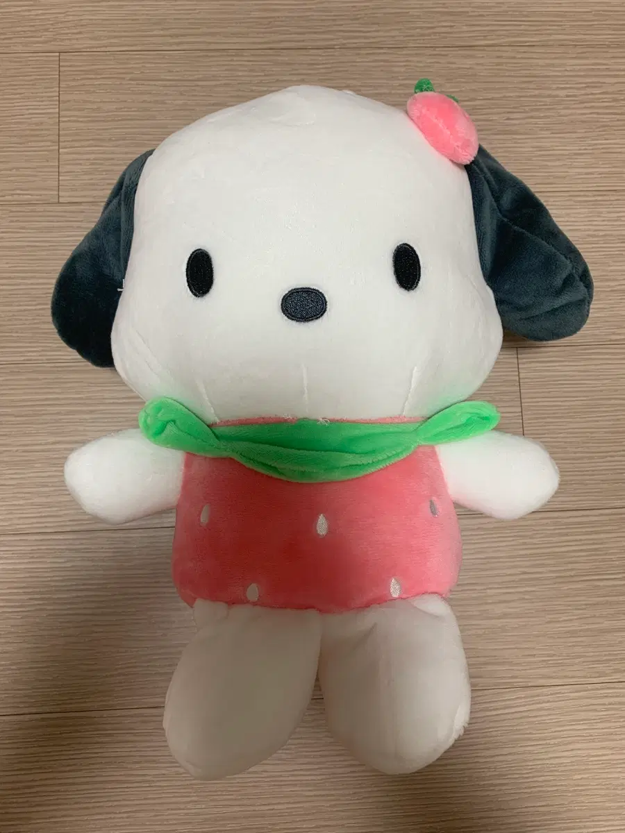포차코 딸기 25cm 산리오 정품 중형 인형