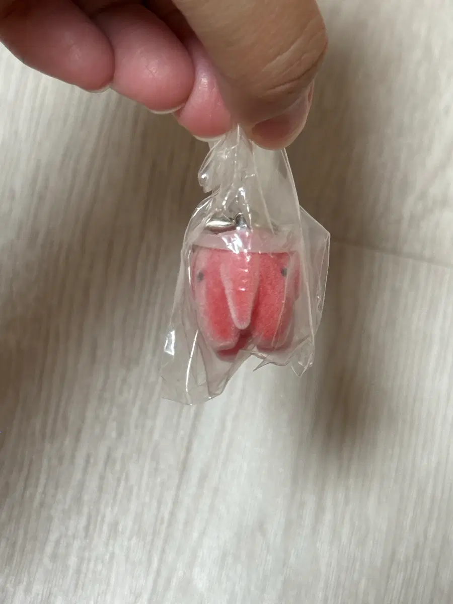 빨강 코끼리 플러피 메지루시