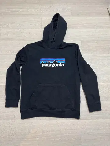 Patagonia 로고 풀오버 후드티 블랙