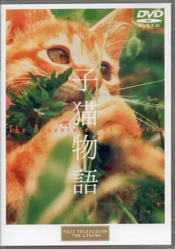 일본 국내 영화 DVD 새끼 고양이 이야기