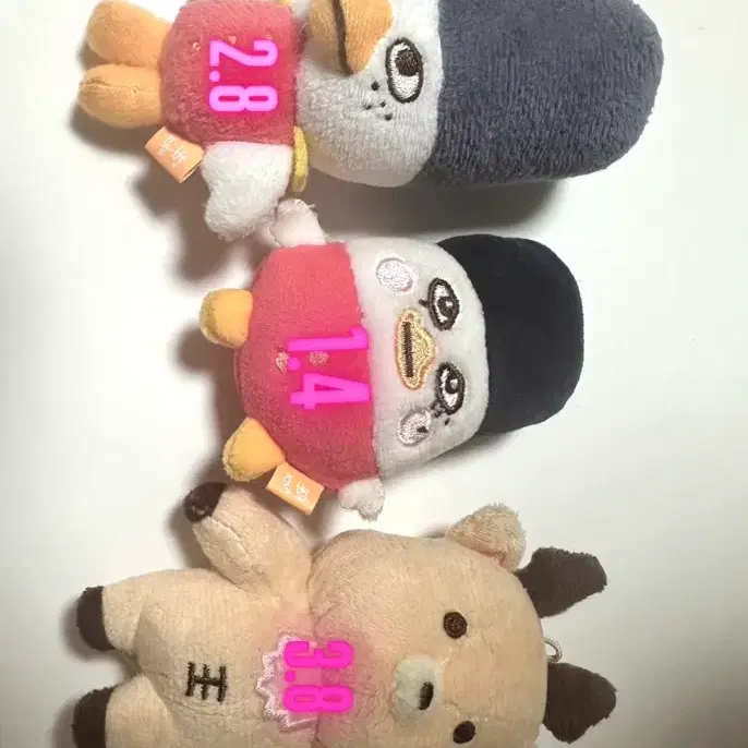 ((마감))))라이즈똘병 8cm 급처소희
