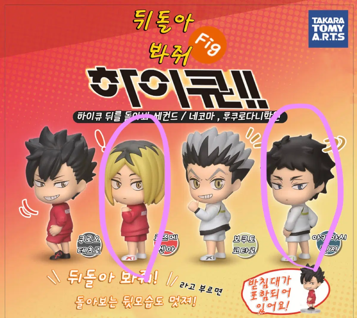 하이큐 뒤돌아봐요 피규어 켄마 , 아카아시