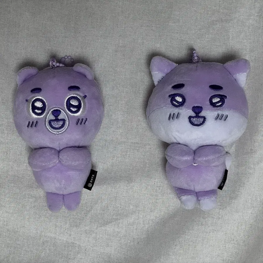 데이식스 데니멀즈 시크릿 플러시 보라방 퍼플방