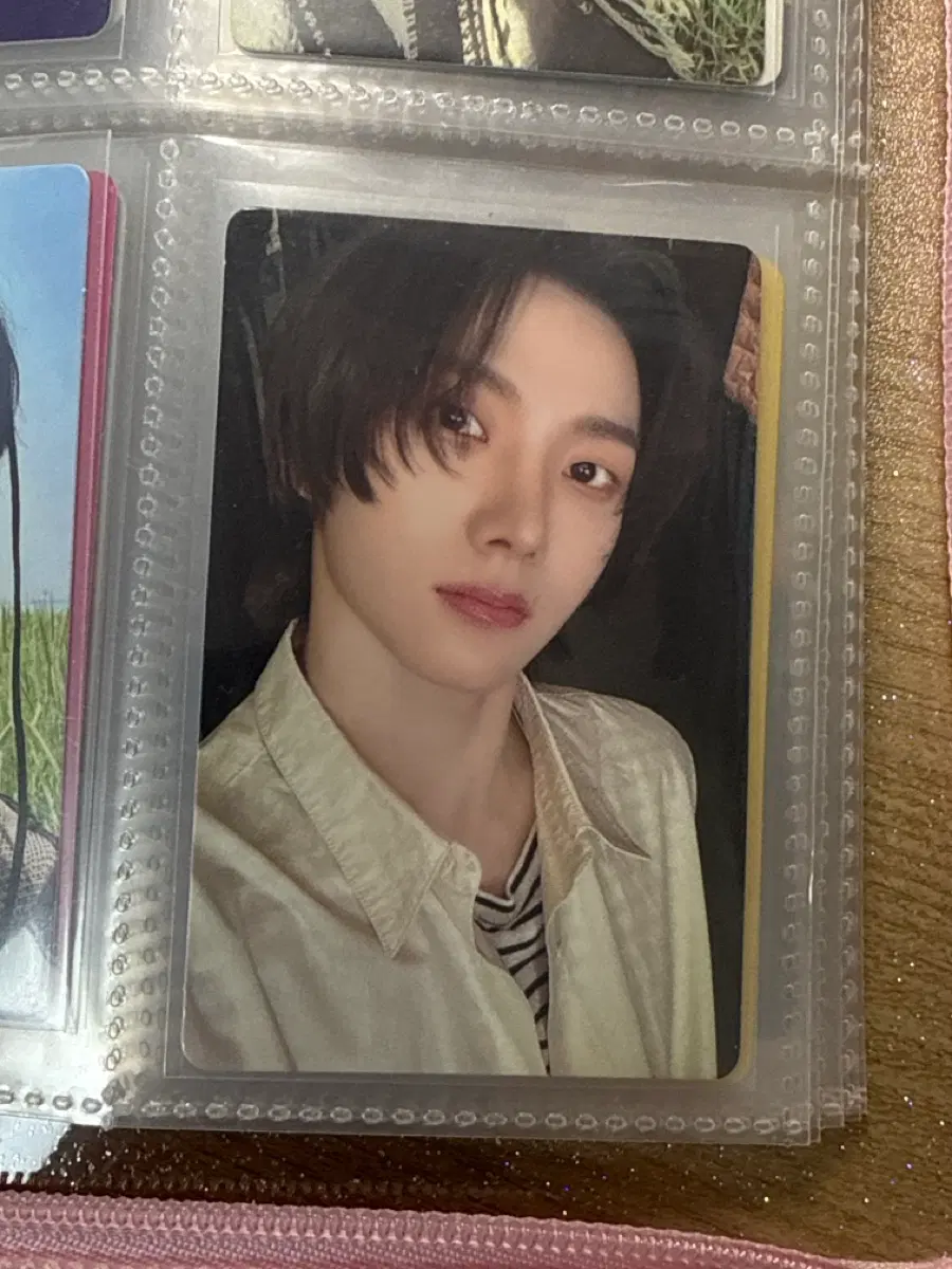 보넥도 성호 19.99 나이스 포카