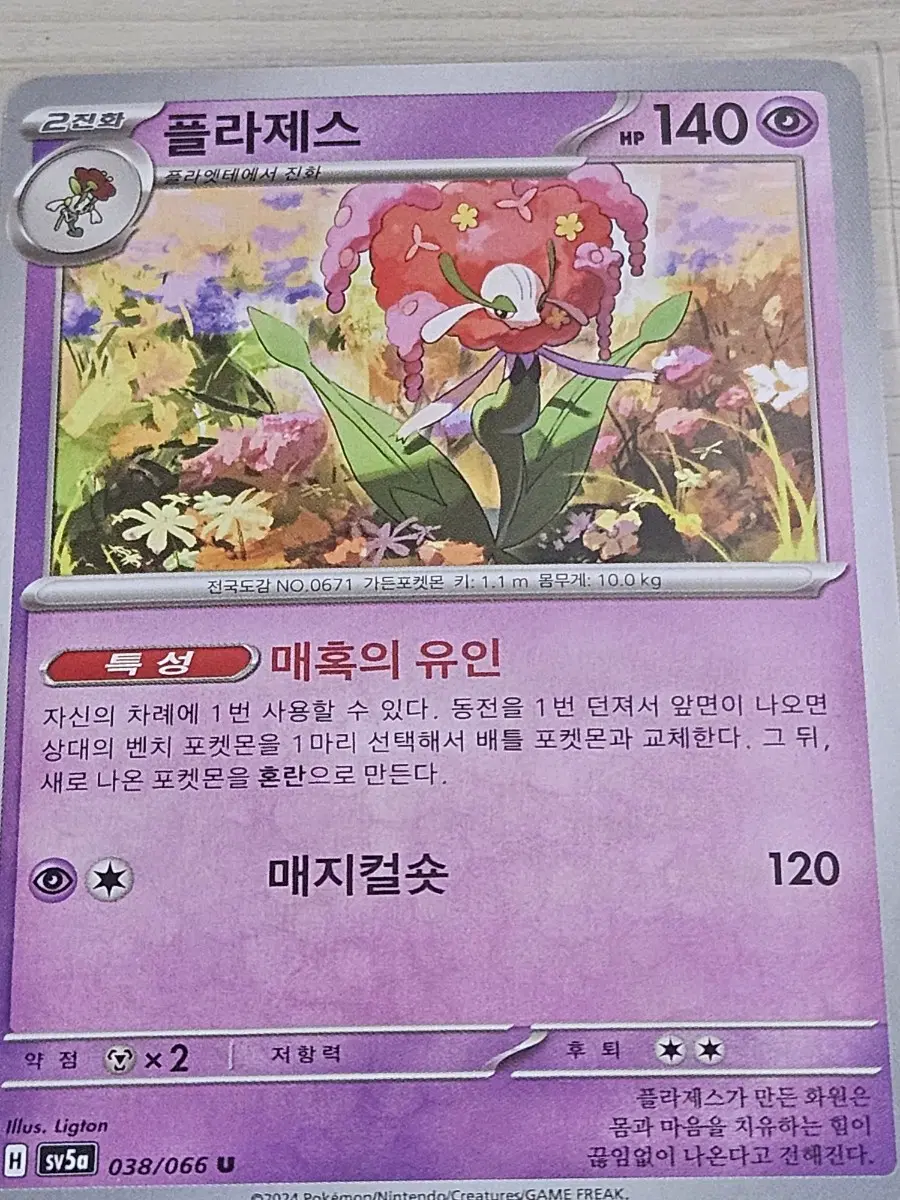 [최저가] 포켓몬카드 플라제스