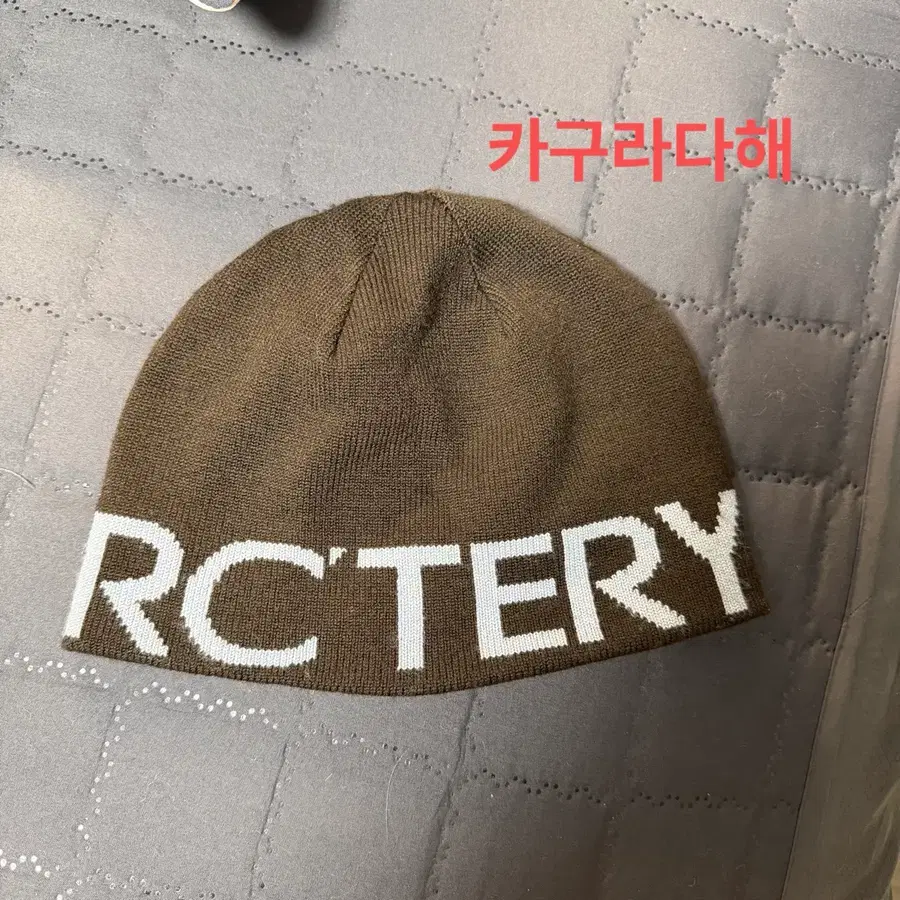 아크테릭스 비니