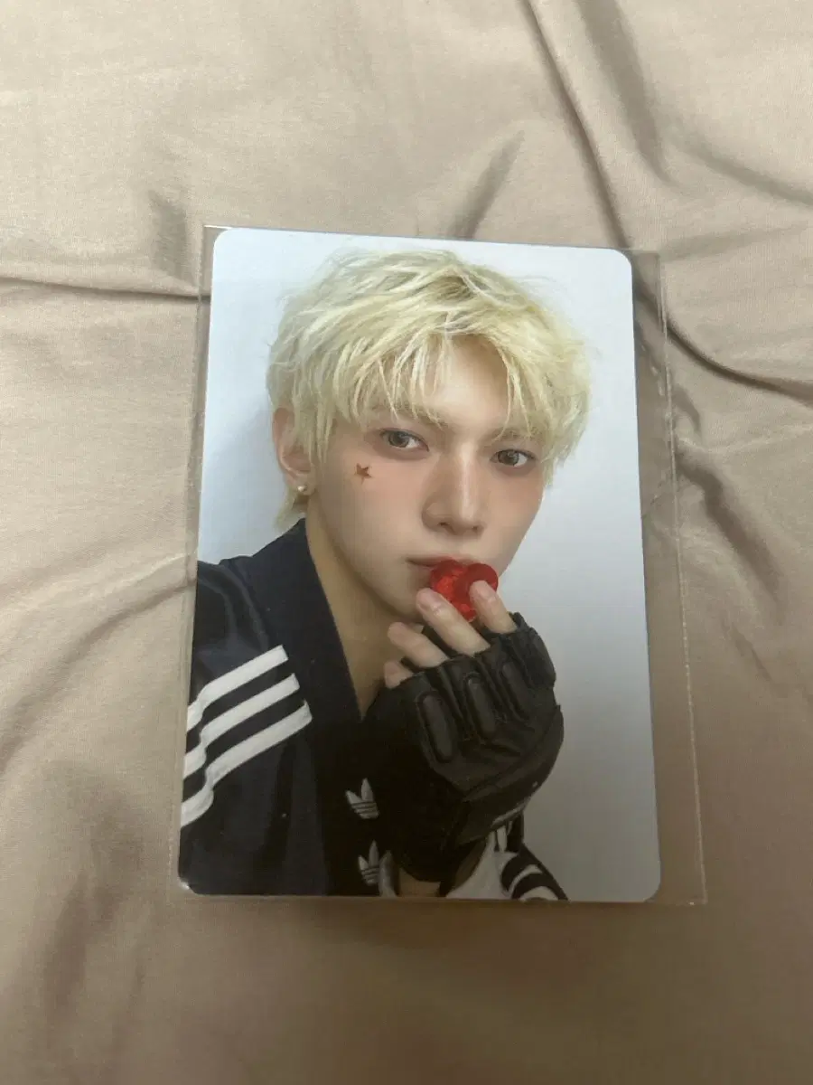 애니티즈 온라인 특전 교환
