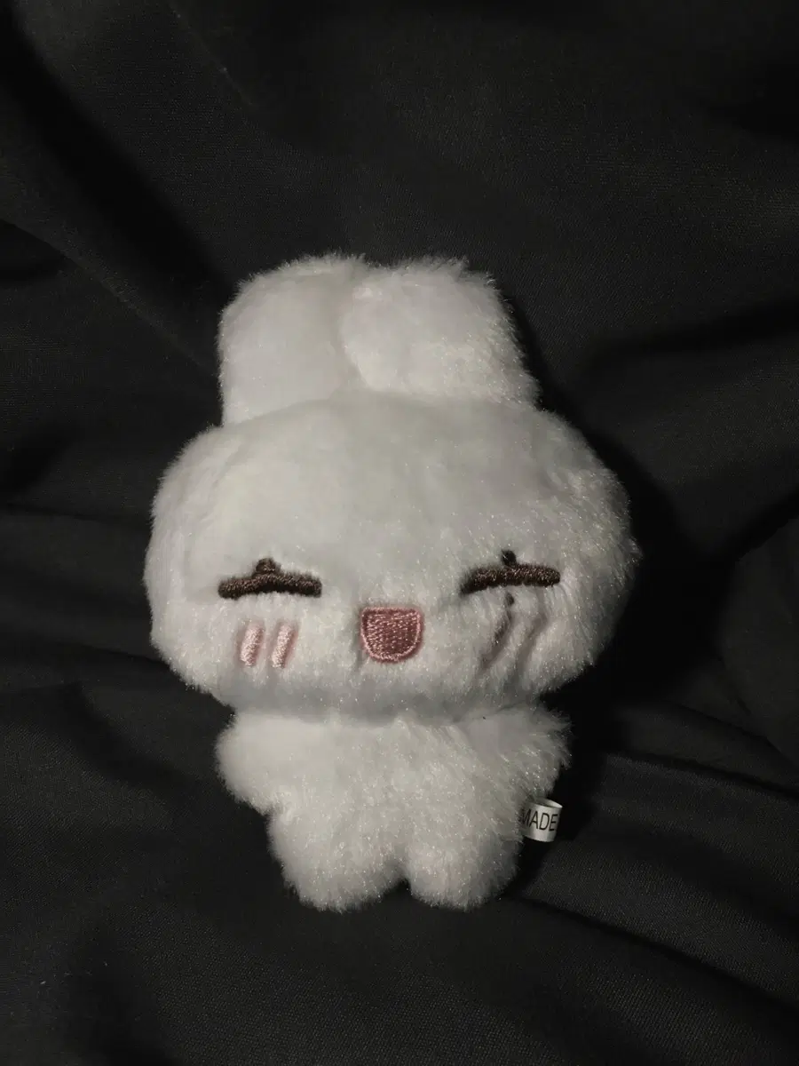 엔하이픈 선우인형 (해피떤)