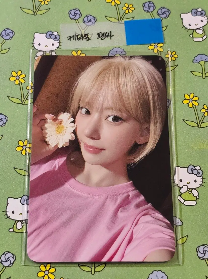 르세라핌 pureflow 케타포 팬싸 사쿠라 꾸라 포카
