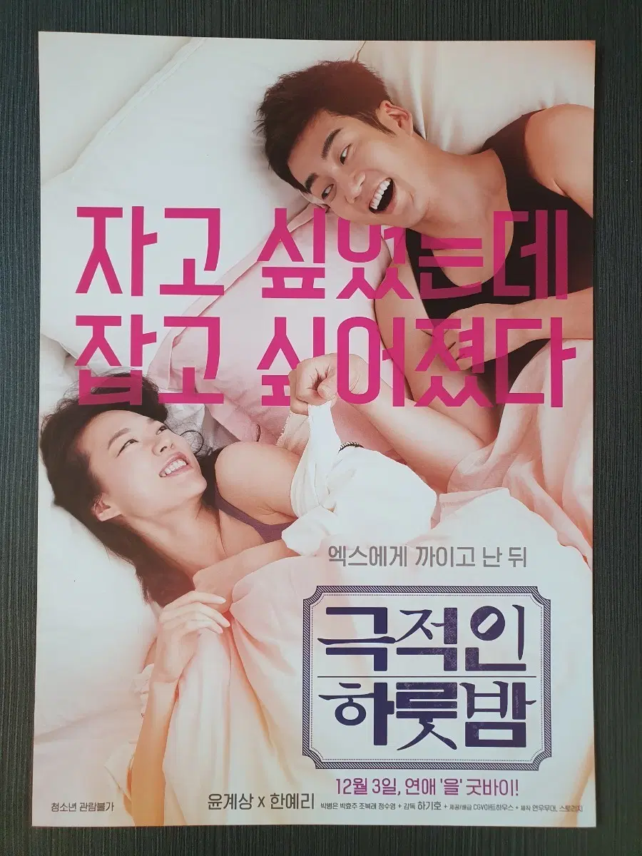 한국 영화 극적인 하룻밤 전단지 팜플렛 A4 윤계상 한예리