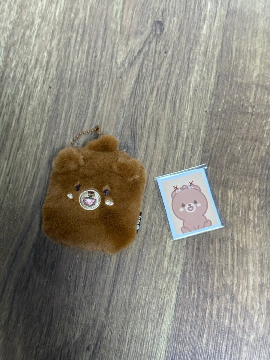 데이식스 아이디홀더 방
