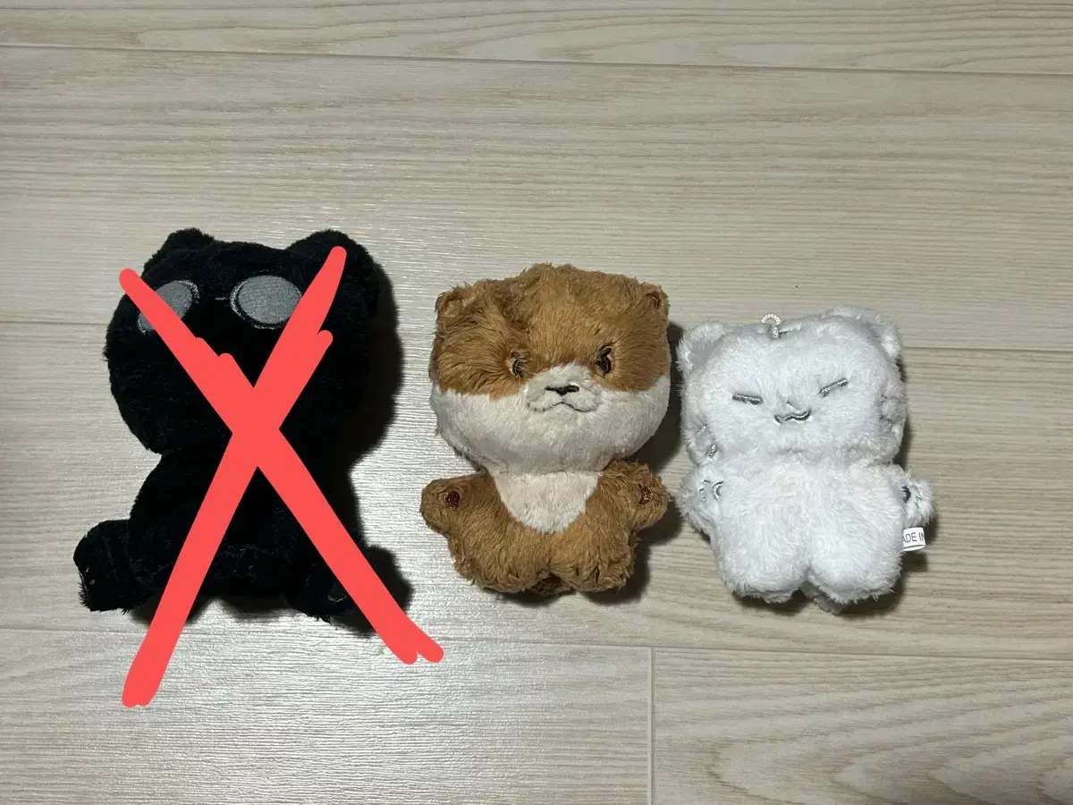 급처)달차니 호찌